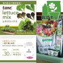 栽培セット(緑のやさいプランター40型・虫よけネット付き):レタスミックスの種付き