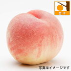 果樹の苗/モモ(桃）：よしひめ4～5号ポット