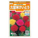 ケイトウ：久留米ケイトウ（切り花用）混合[サカタ　花タネ]