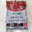 ストロベリーの土 5リットル入り(培養土)