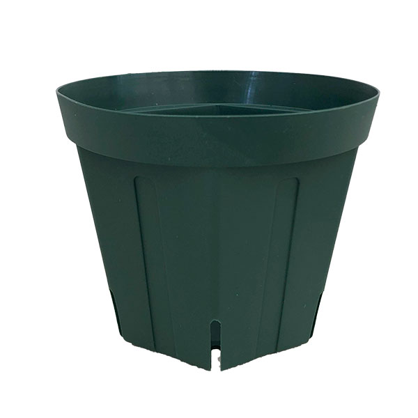 植物の根が健全に育つスリット鉢 プラ鉢[送料無料]とんでもないポット：4.5号CSM-135（モスグリーン）200個セットプロの果樹・樹木の栽培農家で愛用されている、多年栽培用ポットです。シンプルでありながら特殊な構造によりこれまでにないほど長い年数の栽培に耐えることが実証されています。ご家庭での花木や果樹の栽培にもおすすめです。価格もお手ごろです。鉢底裏の特殊構造により、根の旋回現象（サークリング）を防止し、鉢内のみで健全な根形を形成します。また、用土内の水分を均一化し中心部に多くの根を育成し、コーナーと側面の段差により、根を下方へ誘導します。弾力性のある軟質ポリ素材なので、樹皮の損傷を防止します。色：モスグリーン形状：6角形サイズ：外径13.5cm、底径9.5cm、高さ10.8cm色：モスグリーン土容量：約0.9リットル■お届け地域について　　　・北海道、沖縄、離島へのお届けは、追加送料（実費）をいただきます。　