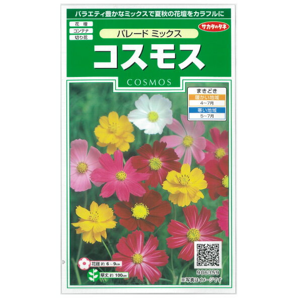 コスモス：パレードミックス[花タネ]