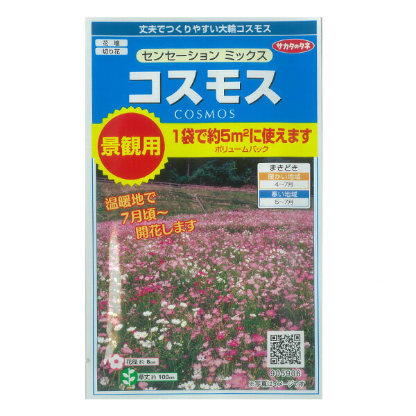 コスモス：センセーション ミックス 景観用ボリュームパック[春まき 花タネ]