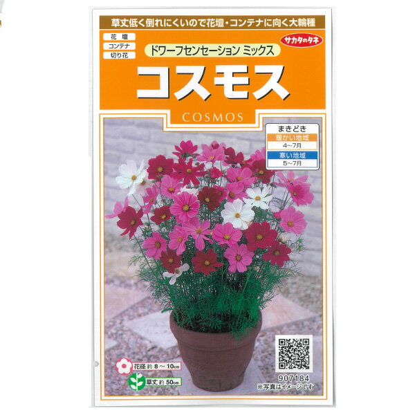 コスモス：ドワーフセンセーションミックス[サカタ 花タネ]