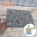 水やりサポート資材・アクアセルS(50×60×h1cm)