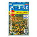 マリーゴールド：アフリカントール　景観用ボリュームパック[春まき　花タネ]