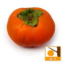 果樹の苗/カキ(柿):そうしゅう(早秋)4号ポット