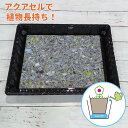 水やりサポート資材・アクアセルR(22×30×h1cm)専用トレー付