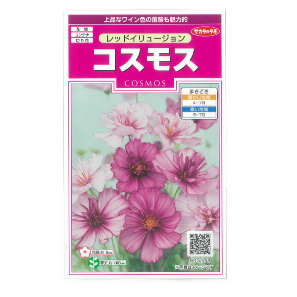 コスモス：レッドイリュージョン[サカタ 花タネ]