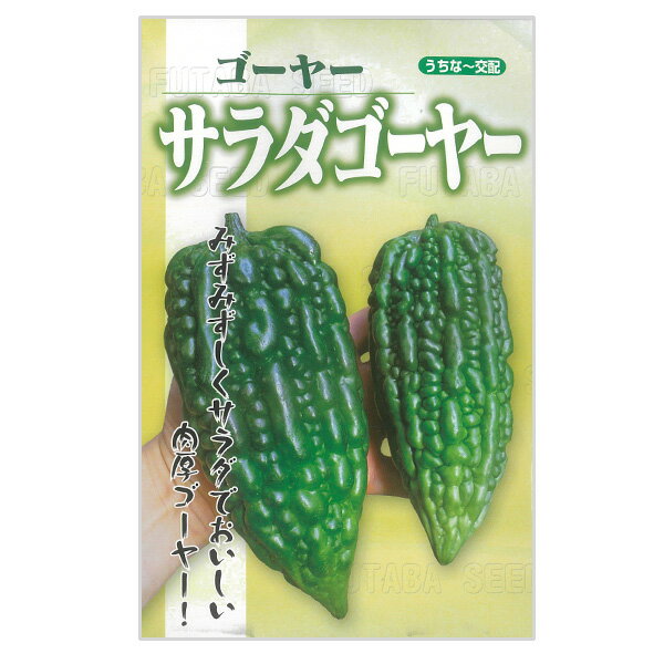 （わけあり特価）【有効期限26年01月】ゴーヤ（にがうり）の種：サラダゴーヤー[3～7月まき 野菜タネ]