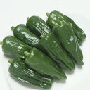 野菜の苗/(わけあり特価)ピーマン:京みどり接木苗3号ポット 2株セット
