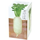 おうちで根菜栽培セット:だいこん