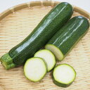 野菜の苗/(わけあり特価)ズッキーニ・ダイナー3.5号ポット