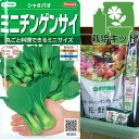 栽培セット（緑のやさいプランター40型・虫よけネット付き）：ミニチンゲンサイ：シャオパオ