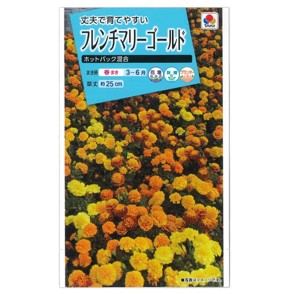 フレンチマリーゴールド：ホットパック混合[タキイ 花タネ]