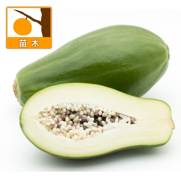 �̼�����/�ѥѥ��䡧�����ʥߥå��������3.5��ݥå�