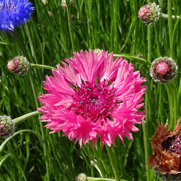 ��֤���/����𡦹�����å�3��ݥå�