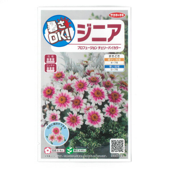 ジニア：プロフュージョン チェリーバイカラー[花タネ]