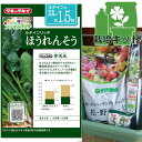 栽培セット(緑のやさいプランター40型・虫よけネット付き):ホウレン草:ルテインリッチほうれんそう 弁天丸