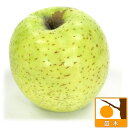 果樹の苗/リンゴ：オウリン（王林）4～5号ポット