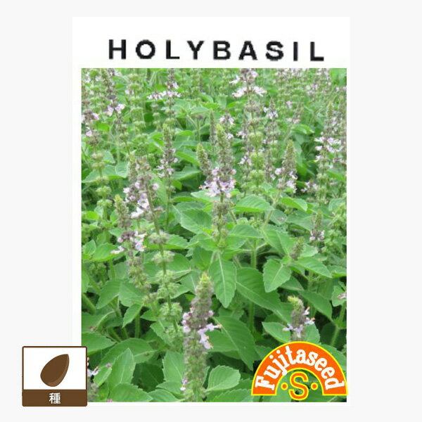 [����̵��]�Х��롧�ۡ��꡼�С�����μ� 4�ޥ��å�[����]