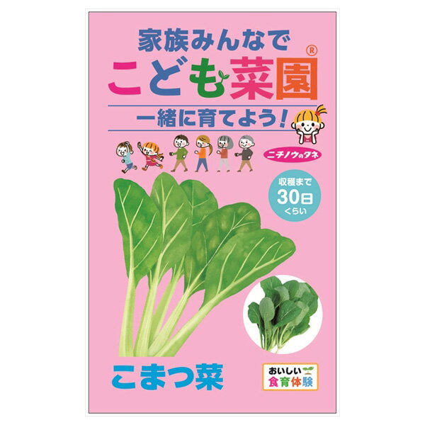 （わけあり特価）【有効期限24年04月】コマツナ：こども菜園（こまつ菜）[野菜のタネ　通年まき]