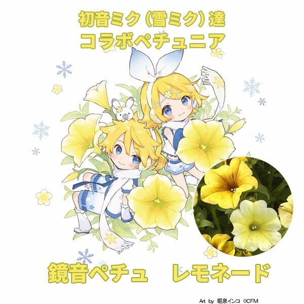 草花の苗/ペチュニア：鏡音ペチュ レモネード3.5号ポット