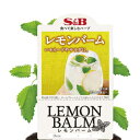 ハーブの苗/(わけあり特価)S&Bレモンバーム3号ポット