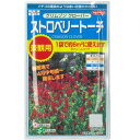 ストロベリートーチ:クリムゾンクローバー 景観用ボリュームパック