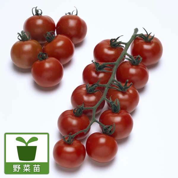 商品画像3