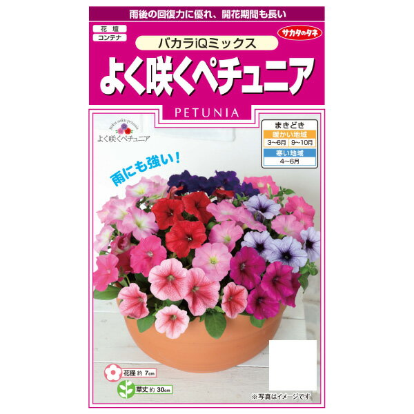 ペチュニア：よく咲くペチュニアバカラiQミックスの種[サカタ 花タネ]
