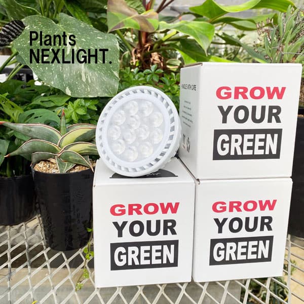 [送料無料]プランツネクスライト LED植物育成ライト 