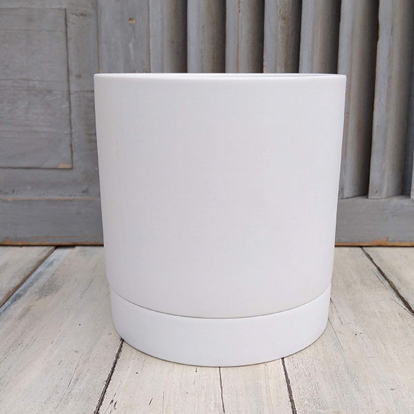 リア：白M（直径16cm）・皿付