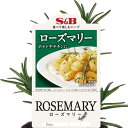 ハーブの苗/(わけあり特価)S&Bローズマリー3号ポット