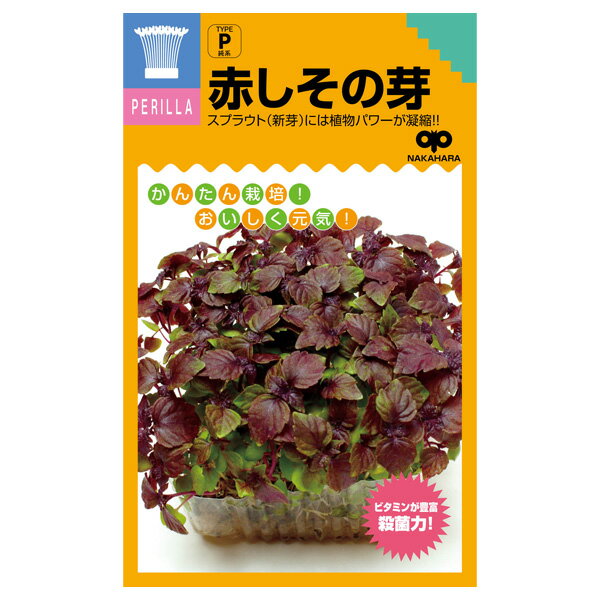 モヤシの種（スプラウト栽培用）：赤しその芽[タネ]