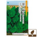 ハナナ(菜の花):華の極み
