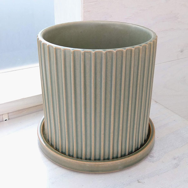 イロ16G（直径18cm）グリーン／40107