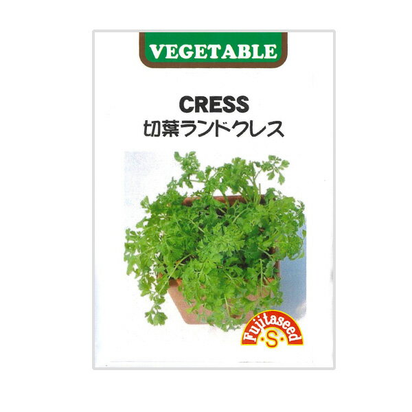 【有効期限25年11月】切葉ランドクレス の種 [周年まき 野菜タネ]