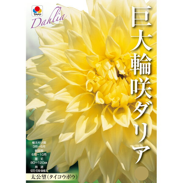 �庬/���ꥢ������˾�ʵ����غ餭��1������