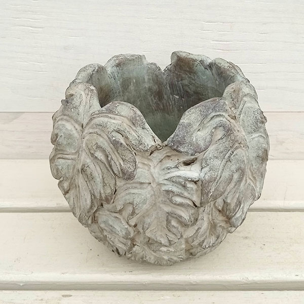 （わけあり特価）モンステラの鉢F3803（直径16cm）