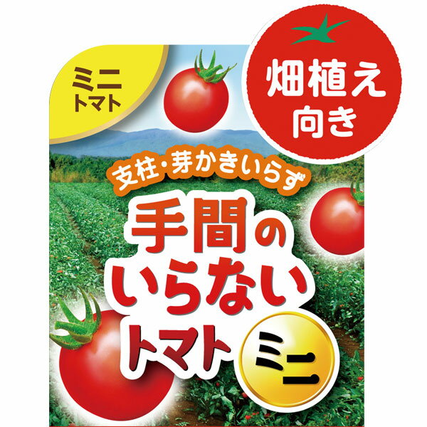 野菜の苗/ミニトマト：カゴメ　手間のいらないミニトマト苗3号ポット 2株セットのサムネイル