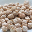 ヒヨコマメの種10ミリリットル入り(栽培用)