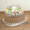 苗ドーム 小 5セット入り