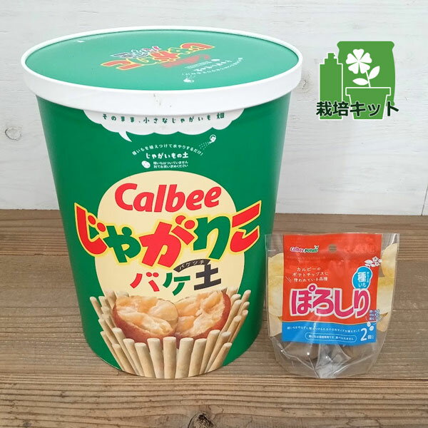 野菜の苗/ジャガイモ（種いも）：ぽろしり2個入りとじゃがりこ・バケ土のセットのサムネイル