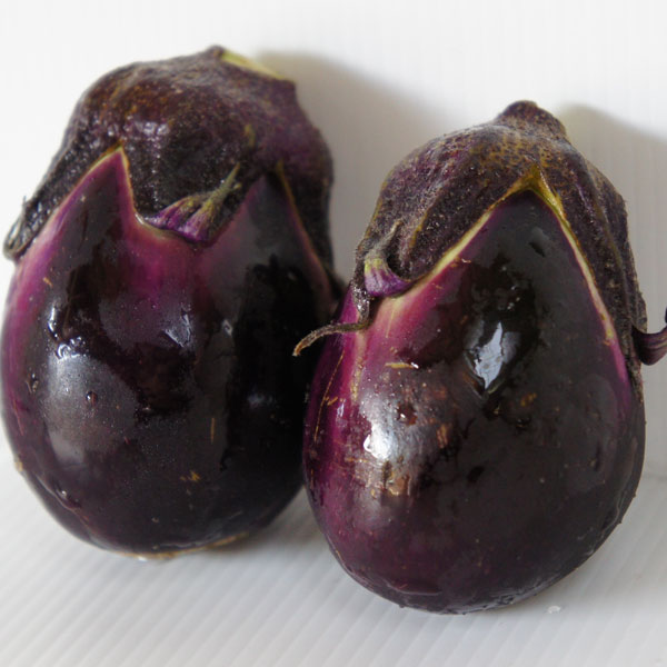 梨のようにみずみずしく、とても美味しい野菜の苗/越後野菜：ナス：長岡梨なす自根苗3号ポット 6株セット長岡梨なすは、新潟県長岡市で古くから栽培されてきた伝統野菜です。大阪の泉州水なすをルーツに持ち、最大の特徴は「握ると水が滴るほど」と言われる圧倒的な水分量と、柔らかい果肉にあります。アクが非常に少なく、ほのかな甘みがあるため、加熱調理よりも生食や一夜漬け、からし漬けといった浅漬けで、そのみずみずしさを味わうのが最も一般的な食べ方です。タイプ：ナス科育て方：高温を好むため、苗の植え付けは最低気温が10℃以上、地温が15℃以上になるごろが適期です。植え付ける畑は日当たりと風通しの良い場所を選び、堆肥や元肥を十分に施して水はけの良い土壌を用意します。地温を確保し、雑草を抑えるために黒マルチングが非常に効果的です。苗は株間を50〜60cm程度空けて植え付け、風で倒れないよう、すぐに仮支柱を立ててしっかりと固定します。植え付け初期は根を深く張らせるために水やりを控えるという方法もありますが、活着後は乾燥に注意し、特に開花・結実期にはたっぷりと水を与えます。一番花が咲いたら、その下から出る勢いの良い側枝2本を残して主枝と合わせた3本仕立て（または4本仕立て）にし、それ以外の余分な脇芽はこまめに取り除きます。追肥は植え付け約1ヶ月後から月に1回程度、株元から少し離れた場所にバランスの良い化成肥料などを施します。初期の害虫（アブラムシやテントウムシダマシ）対策も重要で、見つけ次第捕殺するか対策を講じます。実がツヤのあるうちに早めに収穫することで、株の負担を減らし、長く多くの収穫を楽しむことができます。写真は成長時（開花時）のイメージですが、お届けの際はまだ苗の状態です。お届け時の苗姿は個体差があります。表示の写真と異なる場合がございます。長岡梨なすの料理のポイント水分を非常に多く含んでいる（握りしめると水がしたたり落ちるほど）この「みずみずしさ」を活かすことが、料理の最大のポイントとなります。調理のポイント・「生」や「浅漬け」で食感を楽しむ長岡梨なすの最も代表的な食べ方は、一夜漬けやからし漬けなどの漬物です。水分が多くて甘みがあるため、完全に漬けきる手前の半生状態で、醤油などを少し垂らして「お刺身感覚」で食べるのが地元流の楽しみ方です。包丁を使わず手で割いた方が、より味わい深くなるとも言われています。・アク抜きは基本的に不要アクが少なく、そのまま生食できるほどなので、通常のアク抜き（水にさらす）は必須ではありません。切ってすぐに調理に取り掛かれます。・加熱しすぎない果肉が柔らかいため、煮物などで長時間加熱すると煮崩れしやすい可能性があります。炒め物にする場合も、シャキッとした食感を残す程度にサッと仕上げるのがおすすめです。・油との相性も良い油を吸わせながら焼くことで、ジューシーさを保ちつつ、甘みを引き出す調理法も可能です。焼きなすにする場合は、皮をむいて生姜醤油でシンプルに食べる方法もあります。 越後野菜：ナス：長岡梨なす自根苗3号ポット 6株セットの栽培ガイド野菜：ピーマン・ししとう・トウガラシの育て方野菜（実もの）：ナスの育て方・栽培方法