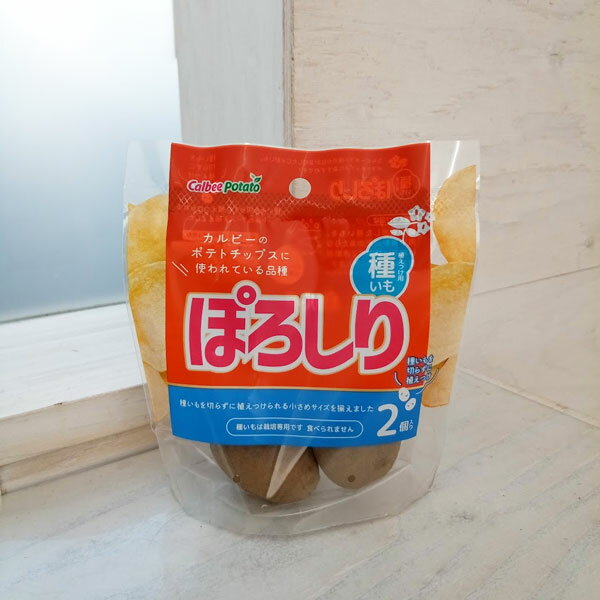 野菜の苗/（わけあり特価）ジャガイモ（種いも）：ぽろしり2個入りのサムネイル