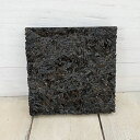 フェゴ着生ボード100(10×10cm)