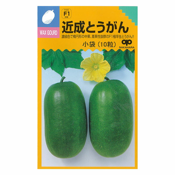 トウガン（冬瓜）：近成とうがん（ちかなりとうがん）[F1交配 野菜タネ]