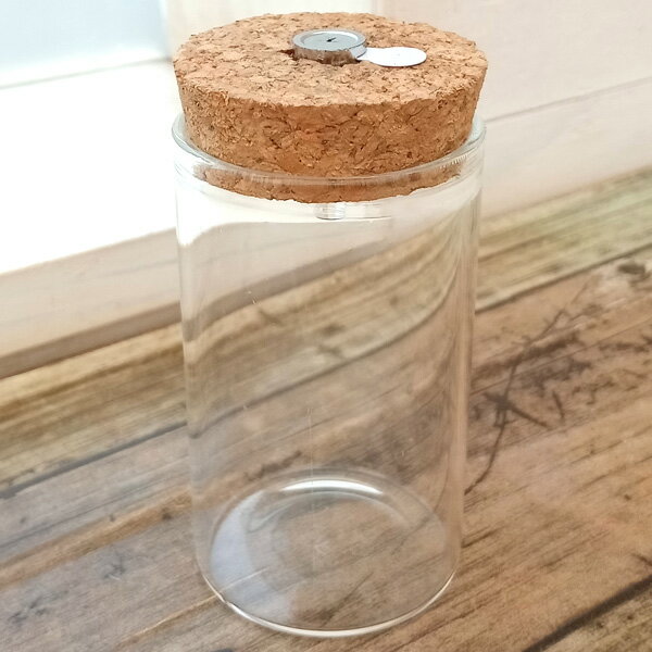 （わけあり特価）LEDライト付きテラリウム容器