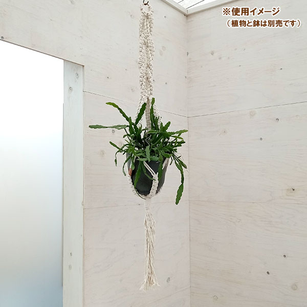 （わけあり特価）ムクラム プラントハンバー：タイプB ナチュラル（長さ約100cm、5号鉢用）